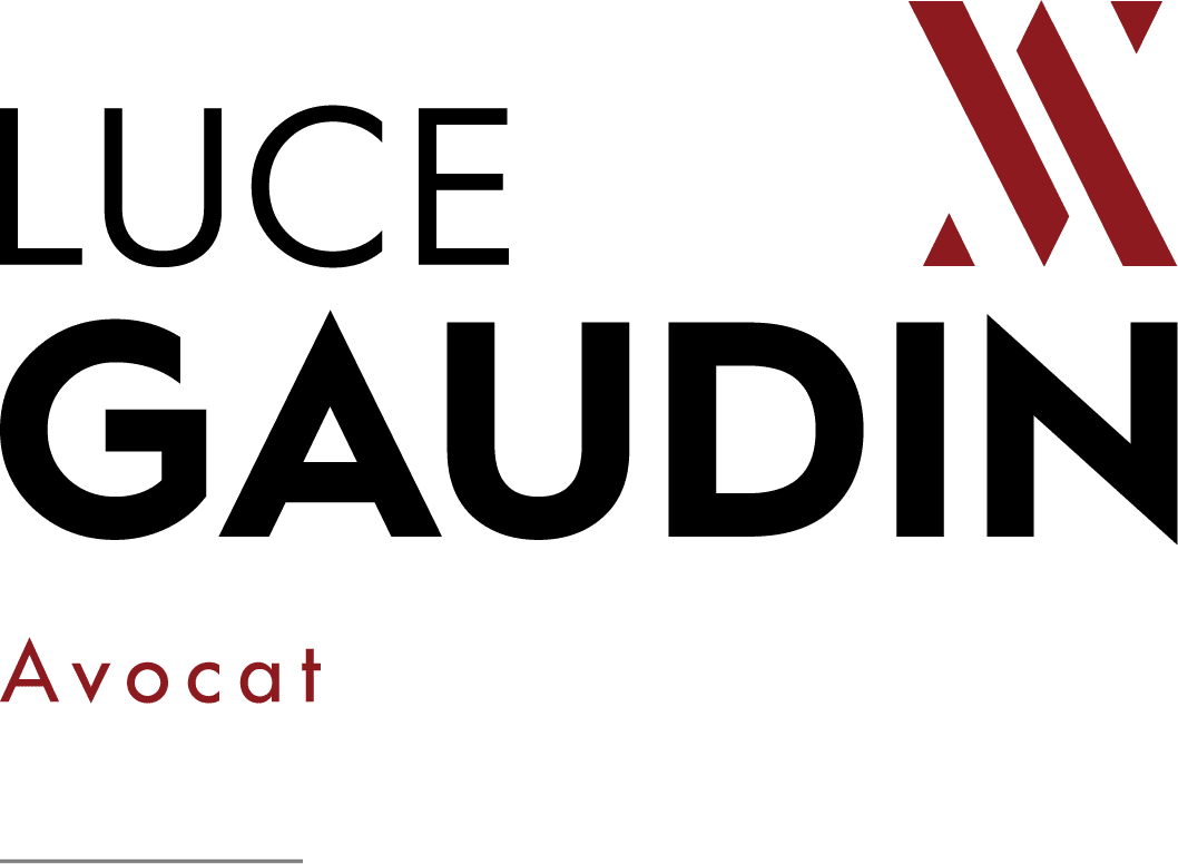 texte-header-luce-gaudin