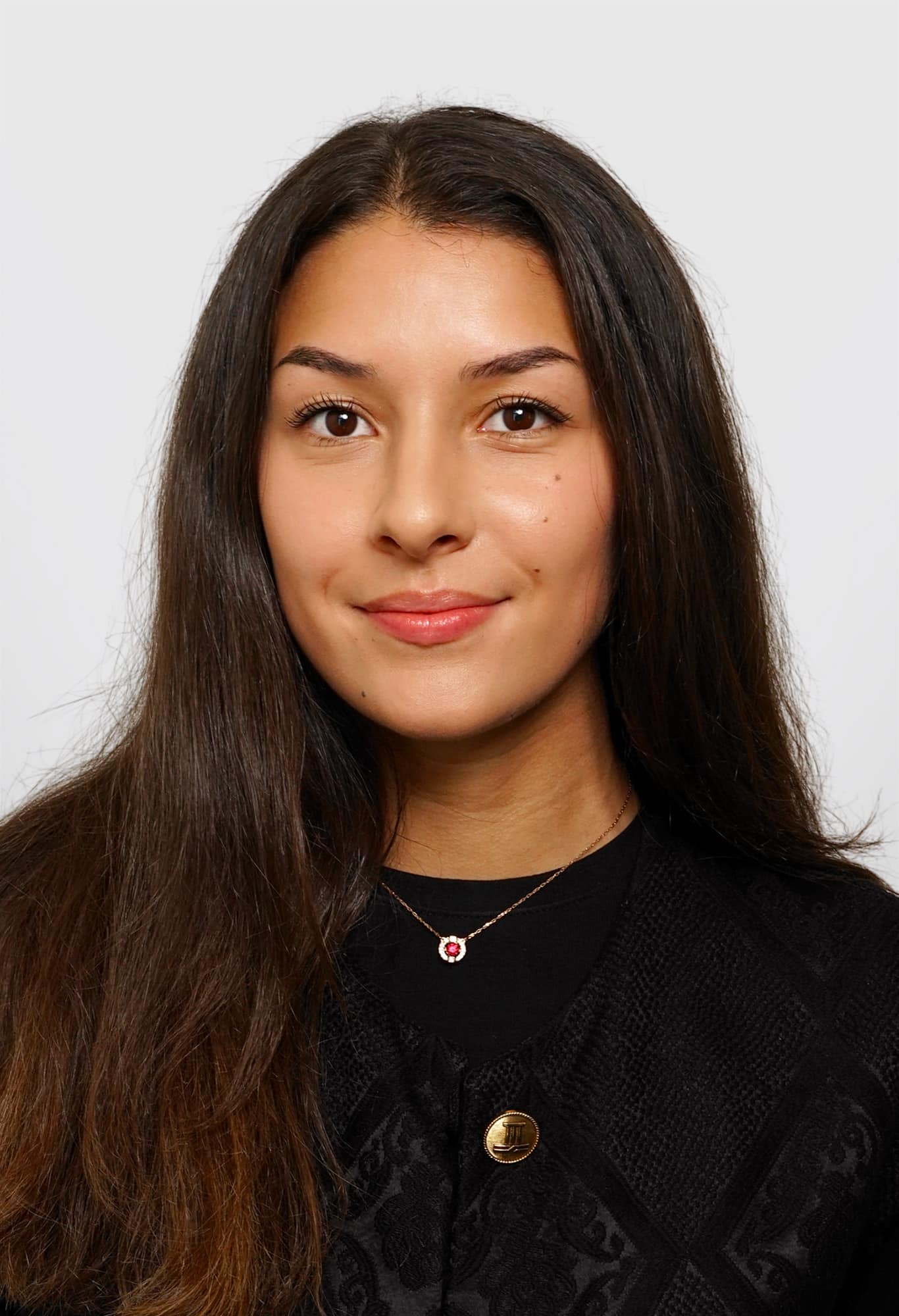 pauline-vandenboren-mosaique-maj-7fev